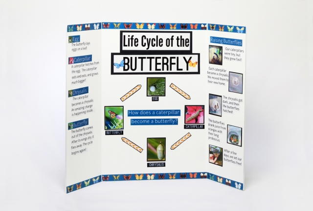 cool science posters